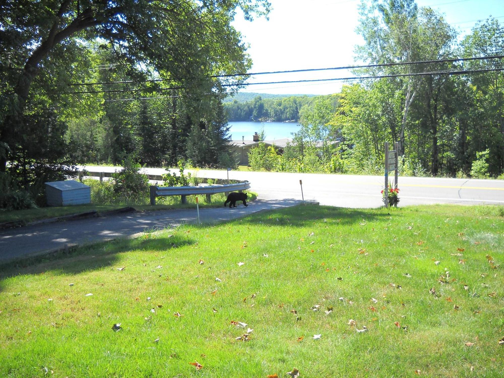 Lakeview Motel ฮาลีเบอร์ตัน ภายนอก รูปภาพ