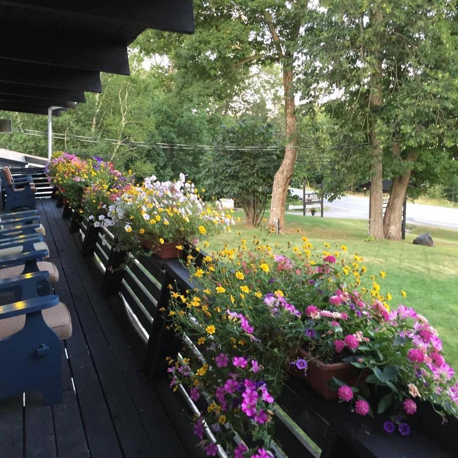 Lakeview Motel ฮาลีเบอร์ตัน ภายนอก รูปภาพ